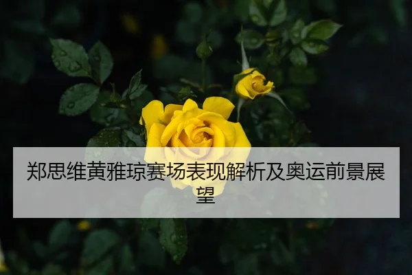 郑思维黄雅琼赛场表现解析及奥运前景展望